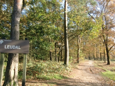 Leudal NL : Ortsteil Nunhem, Wanderweg im Naturschutzgebiet Leudal